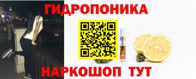 PSILOCYBIN Можга