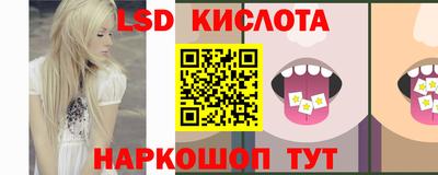 PSILOCYBIN Можга