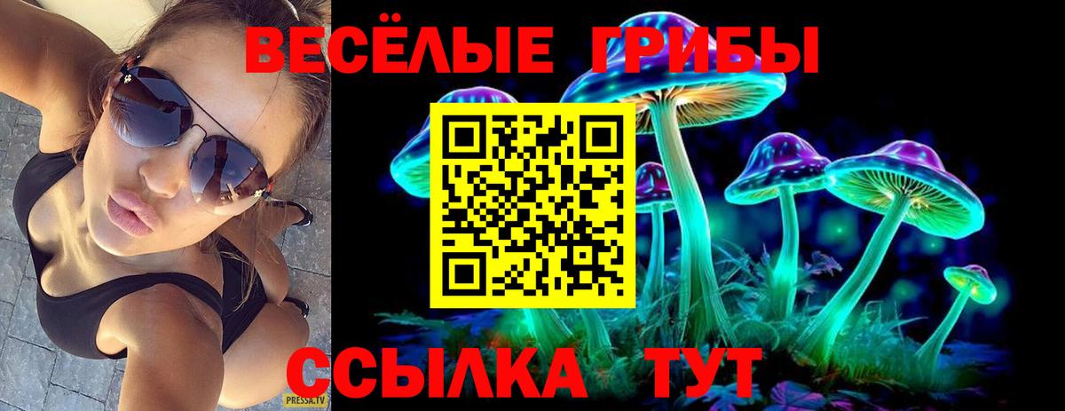 купить наркоту  Галлюциногенные грибы MAGIC MUSHROOMS  Вход с VPN  Выборг 