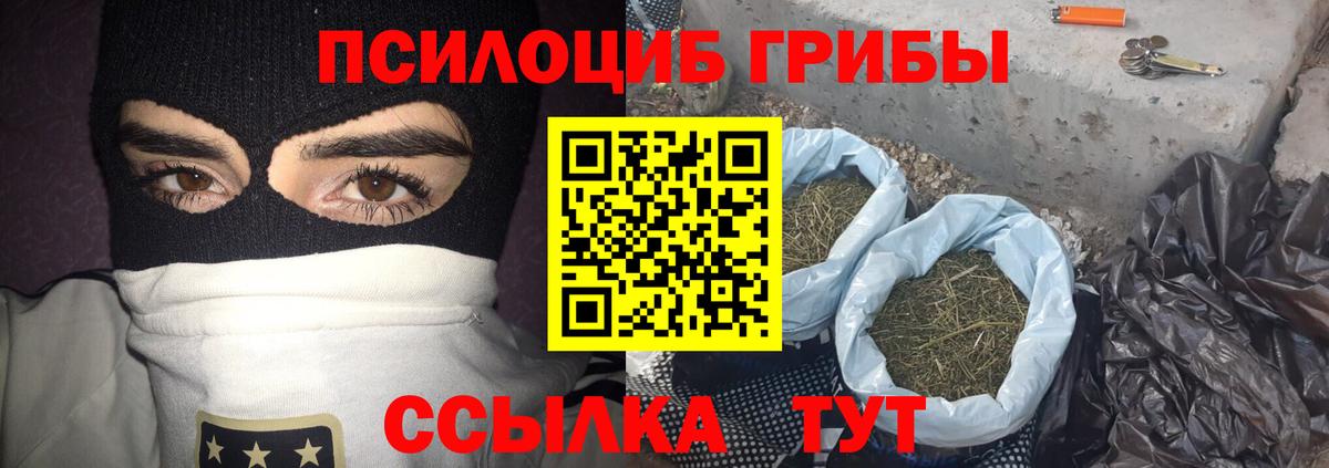 Галлюциногенные грибы MAGIC MUSHROOMS Выборг
